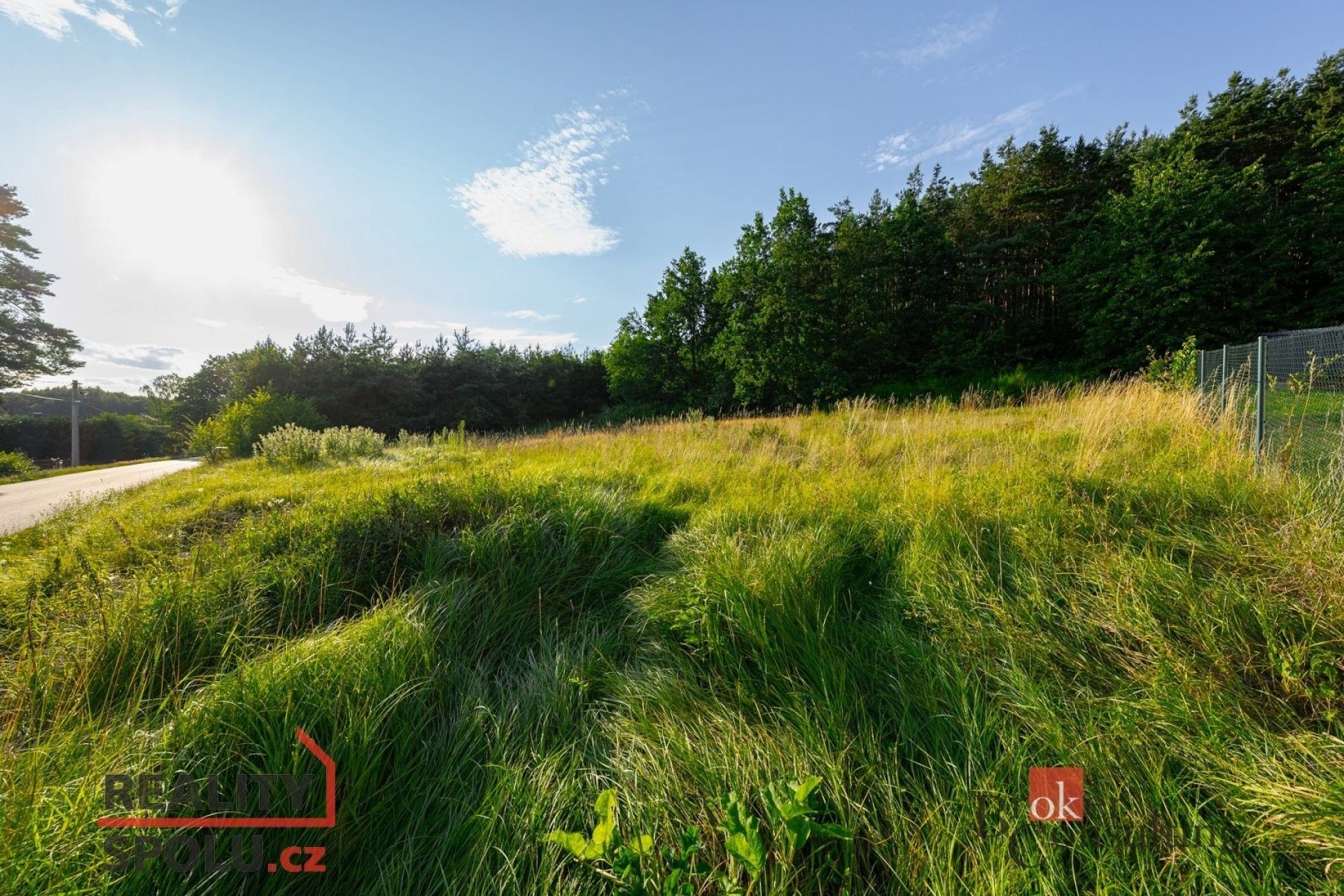 Prodej pozemek pro bydlení - Bukovany, 996 m²