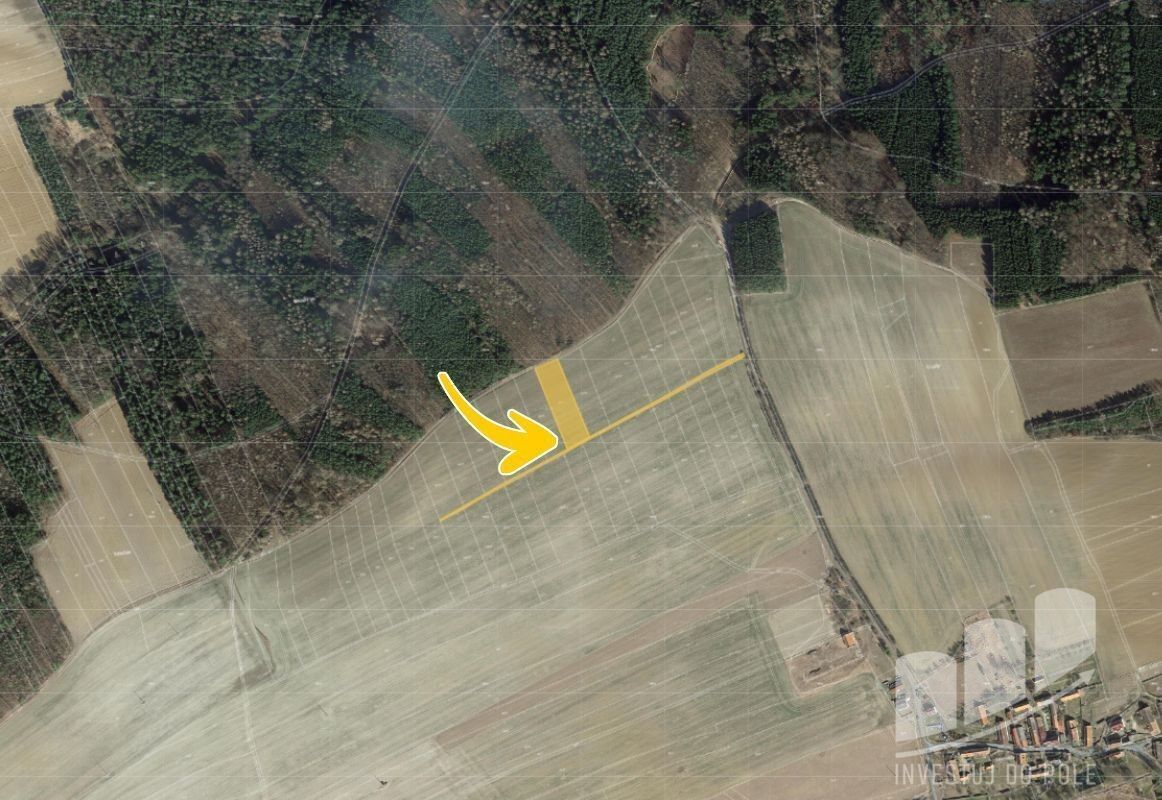 Prodej zemědělský pozemek - Novosedly, Hřebečníky, 2 976 m²