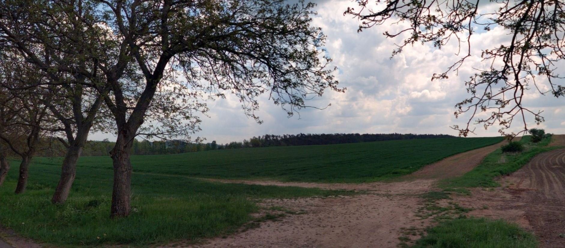 Zemědělské pozemky, Radouň, Štětí, 14 932 m²