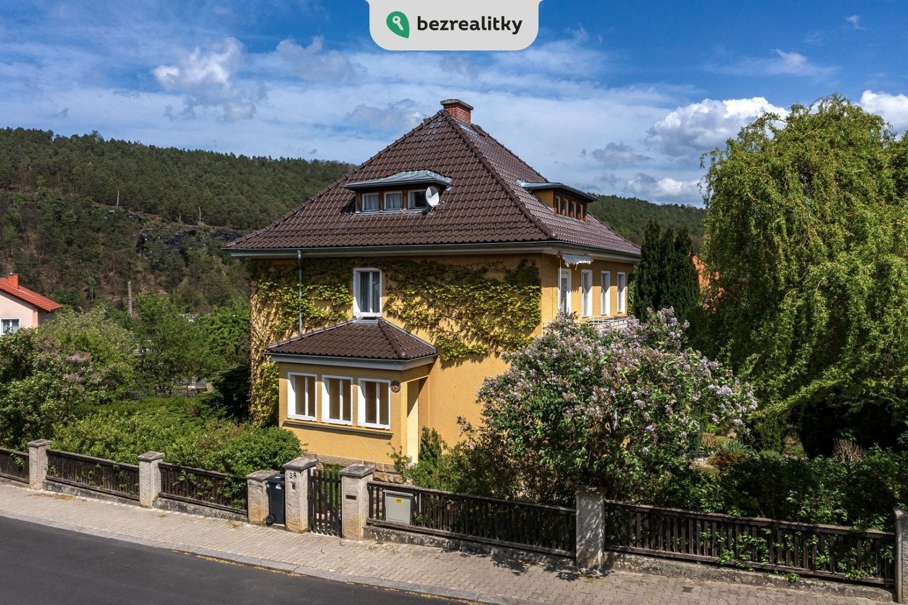 Ostatní, Moskevská, Děčín, 250 m²