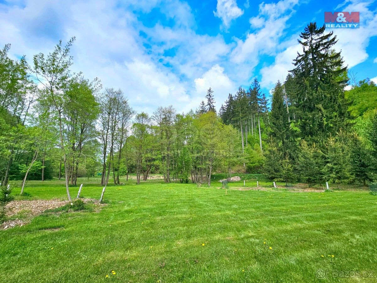 Lesy, Nové Město nad Metují, 549 01, 1 594 m²