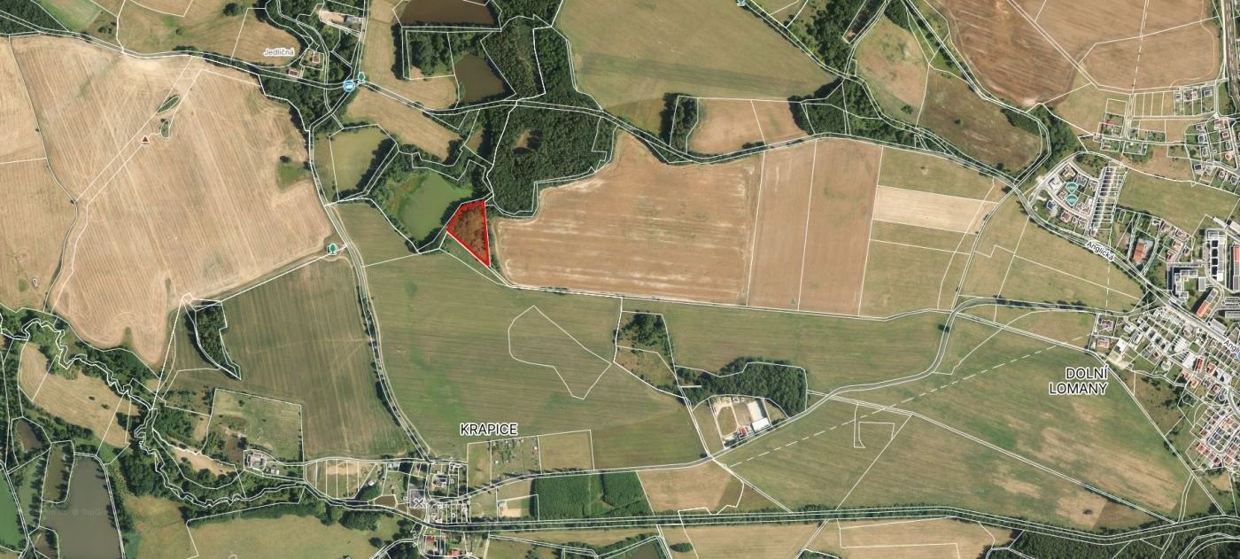 Zemědělské pozemky, Anglická, Františkovy Lázně, 7 083 m²