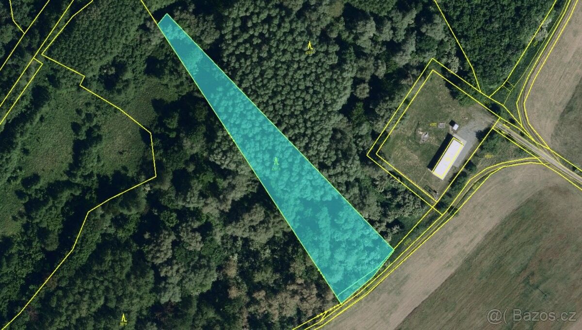 Lesy, Březí u Mikulova, 691 81, 4 945 m²