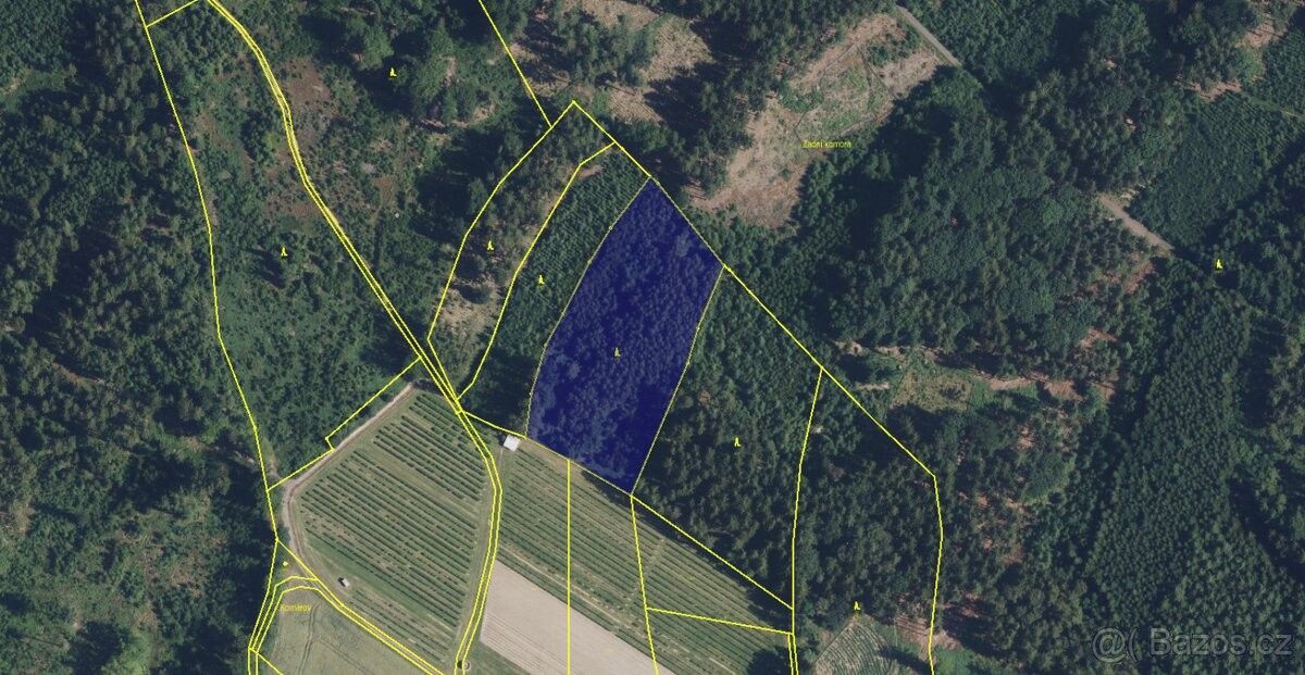 Lesy, Hořice v Podkrkonoší, 508 01, 11 250 m²