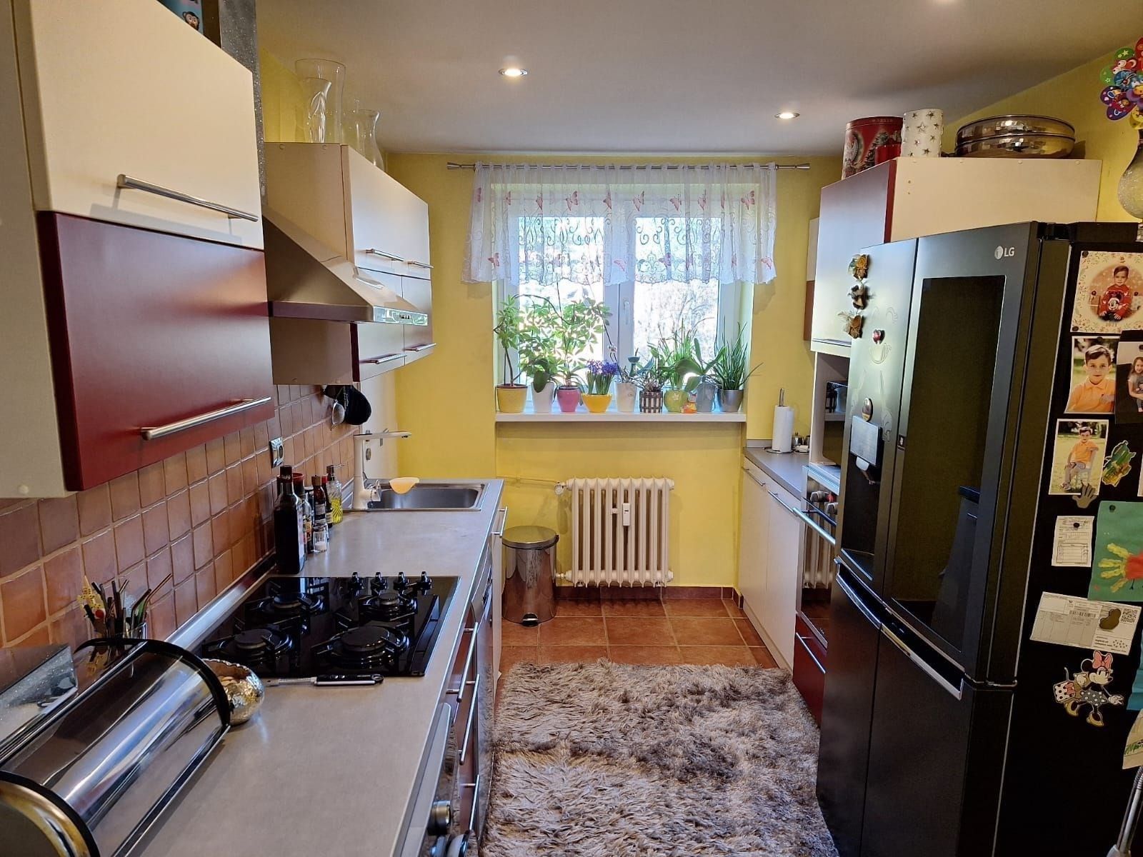 2+1, Václavkova, Mladá Boleslav, 56 m²