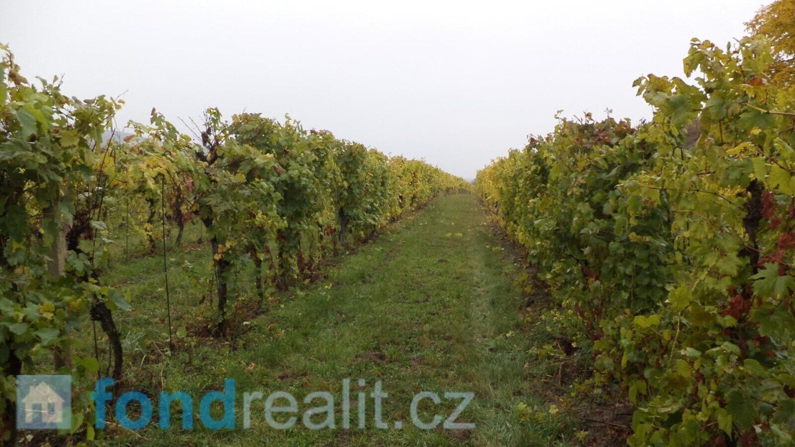 Ostatní, Morkůvky, 4 541 m²