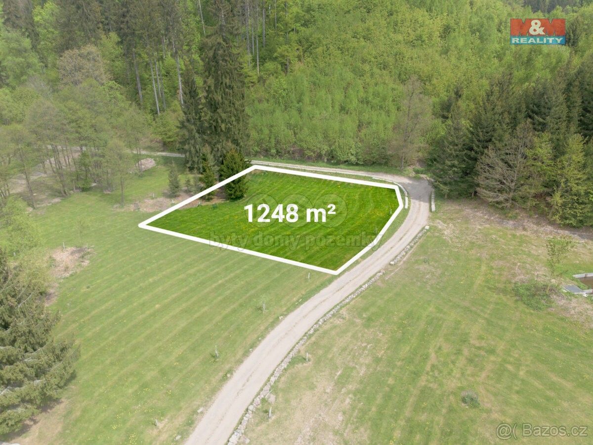 Prodej les - Nové Město nad Metují, 549 01, 1 248 m²