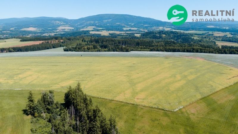 Prodej pozemek - Trutnov, 543 73, 40 000 m²