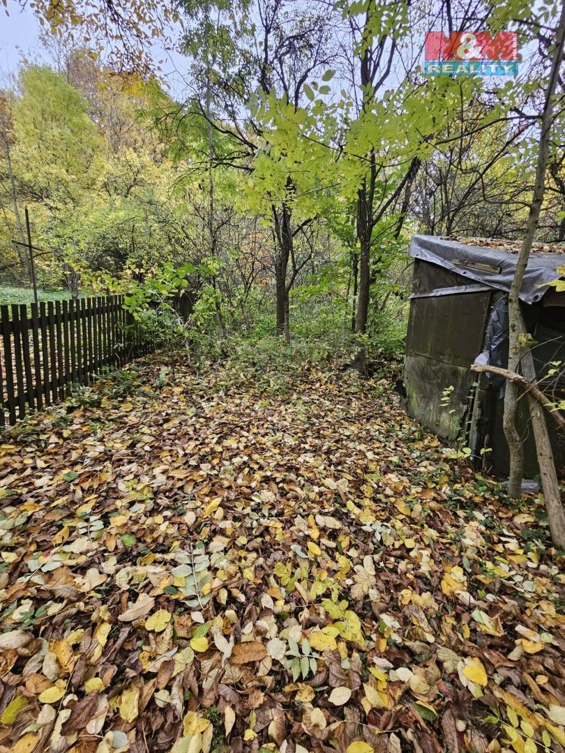 Prodej zemědělský pozemek - Zábřeh, 789 01, 1 687 m²