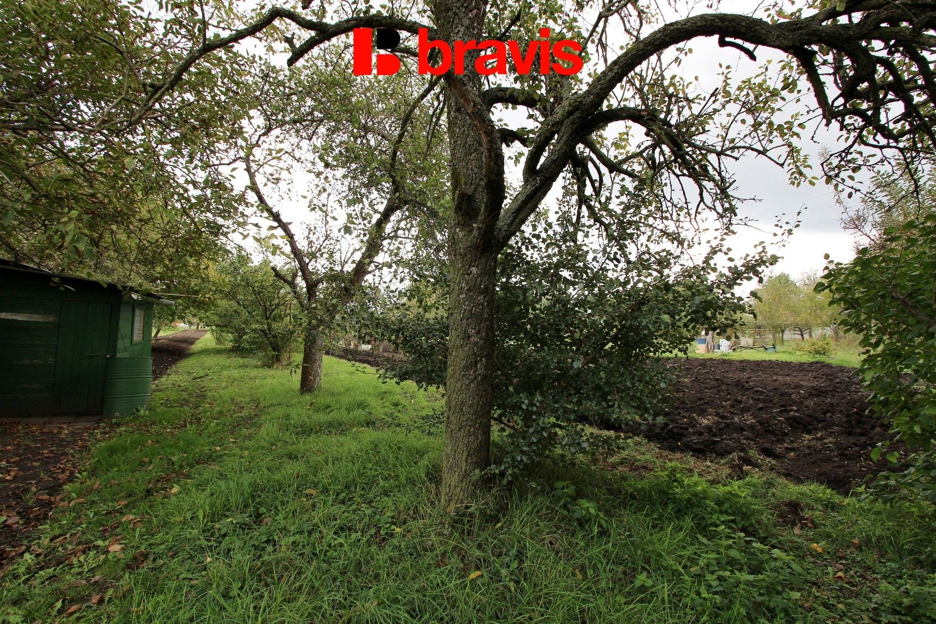 Zahrady, Sokolnice, 704 m²