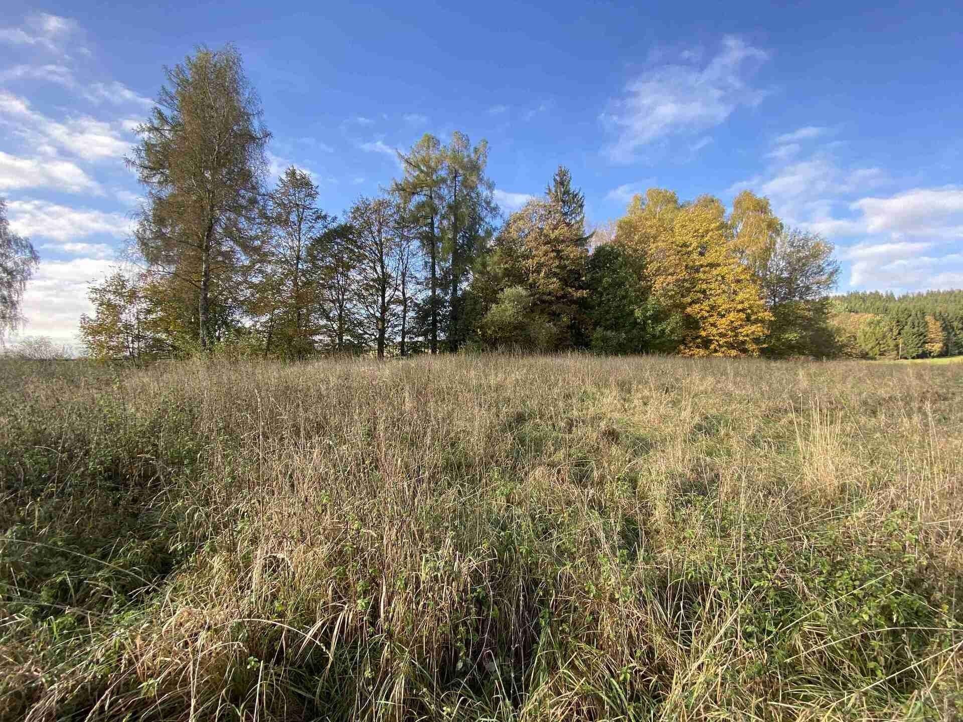 Pozemky pro bydlení, Horní Lipka, Králíky, 3 207 m²