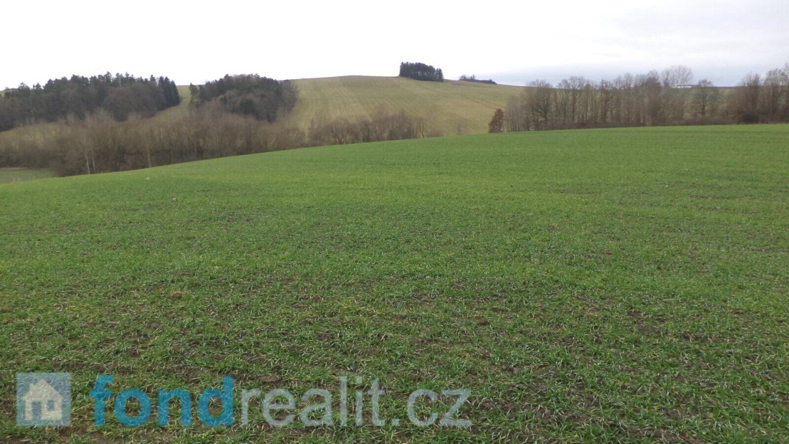 Prodej zemědělský pozemek - Srby, 26 135 m²
