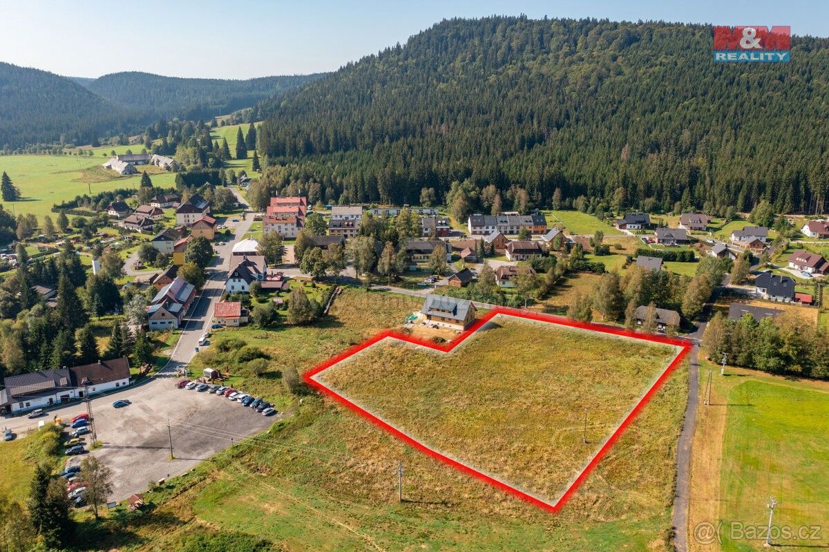 Prodej pozemek - Borová Lada, 384 92, 8 541 m²