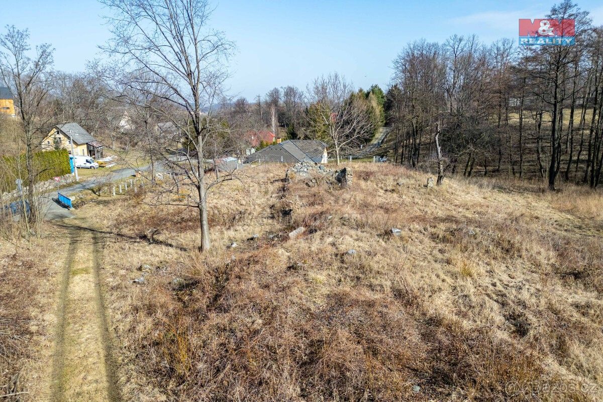 Lesy, Žulová, 790 65, 5 869 m²