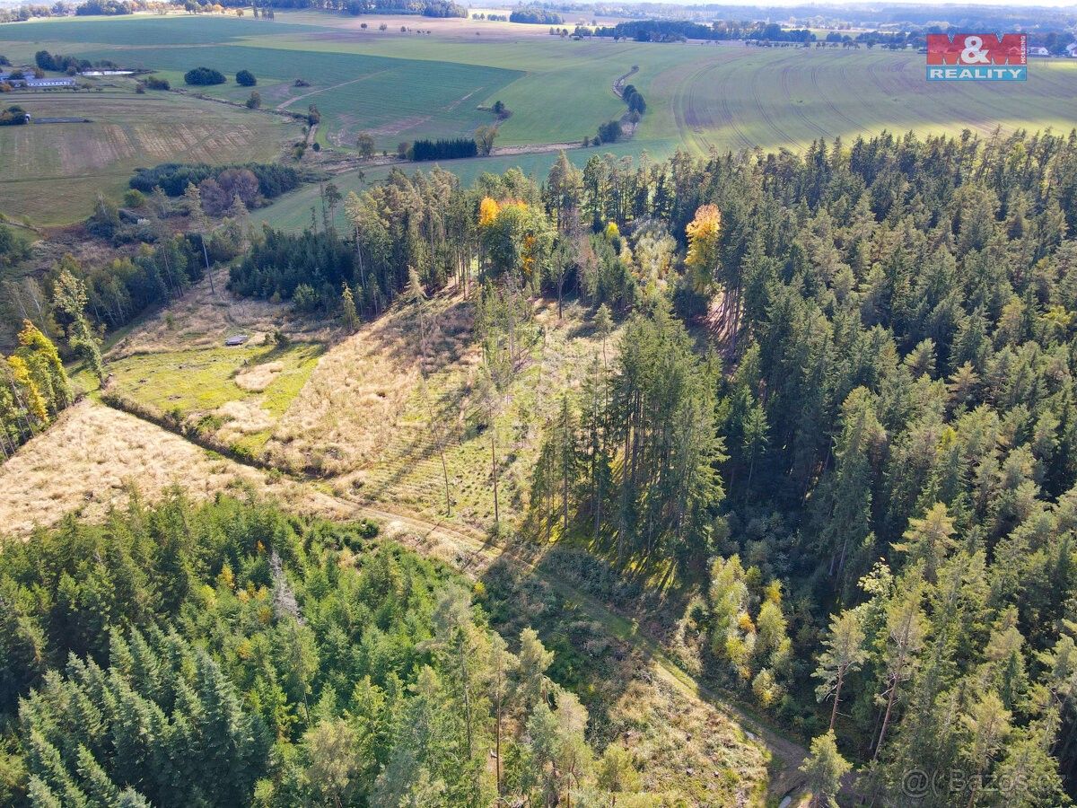 Prodej les - Soběslav, 392 01, 2 678 m²