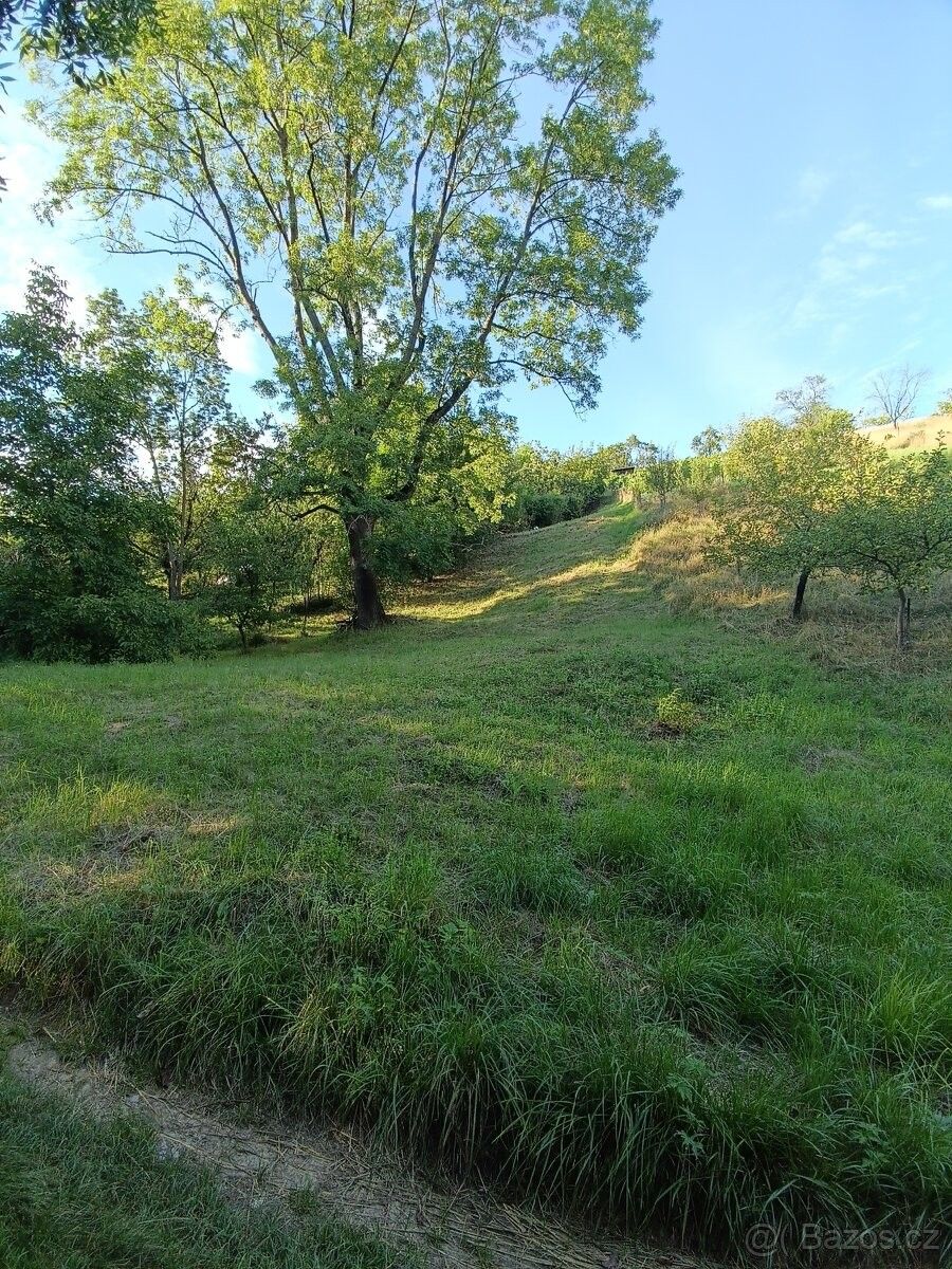 Prodej zahrada - Babice u Uherského Hradiště, 687 03, 2 216 m²