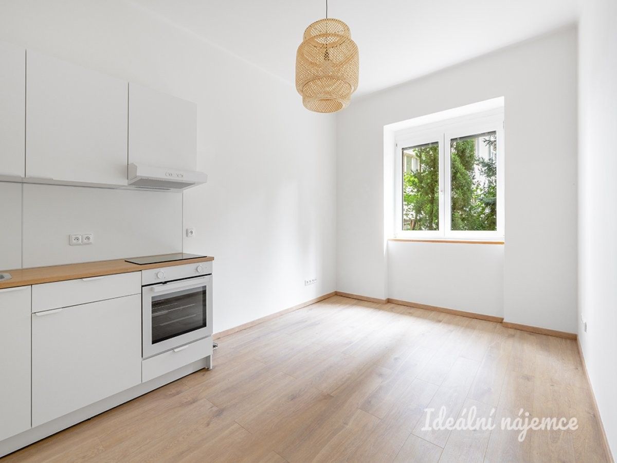 1+kk, Petrohradská, Praha, 24 m²