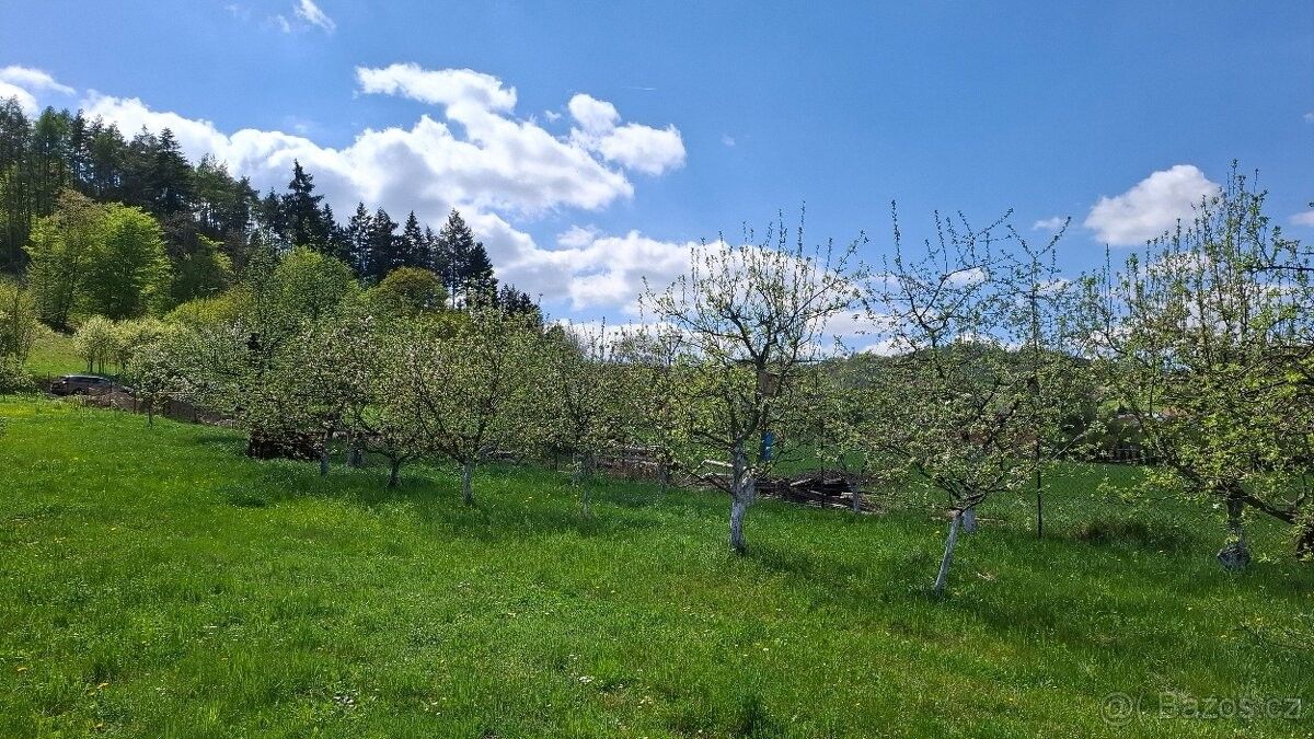Prodej les - Tišnov, 666 03, 1 325 m²