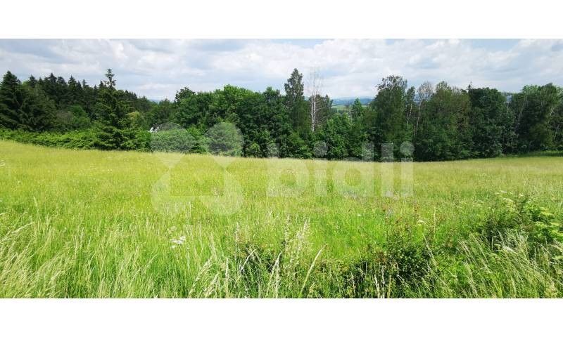 Prodej pozemek pro bydlení - Spálov, Semily, Česko, 1 430 m²