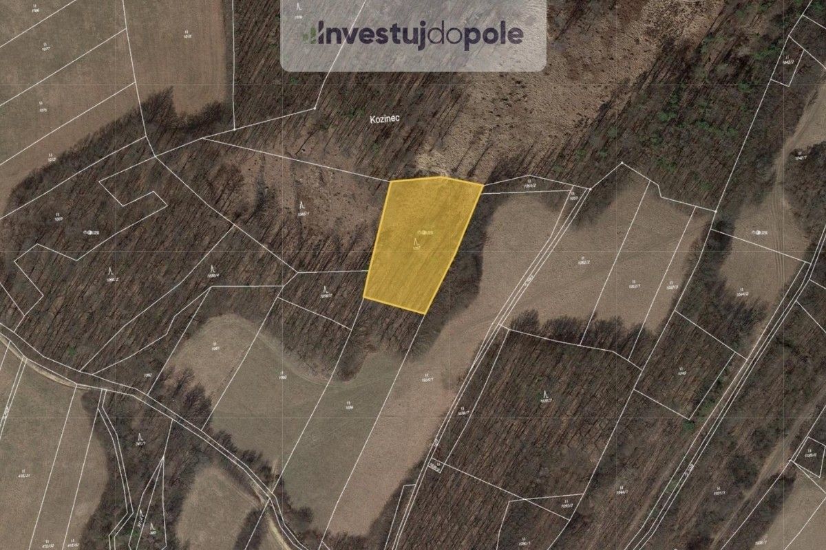 Prodej les - Jankovice, 3 358 m²