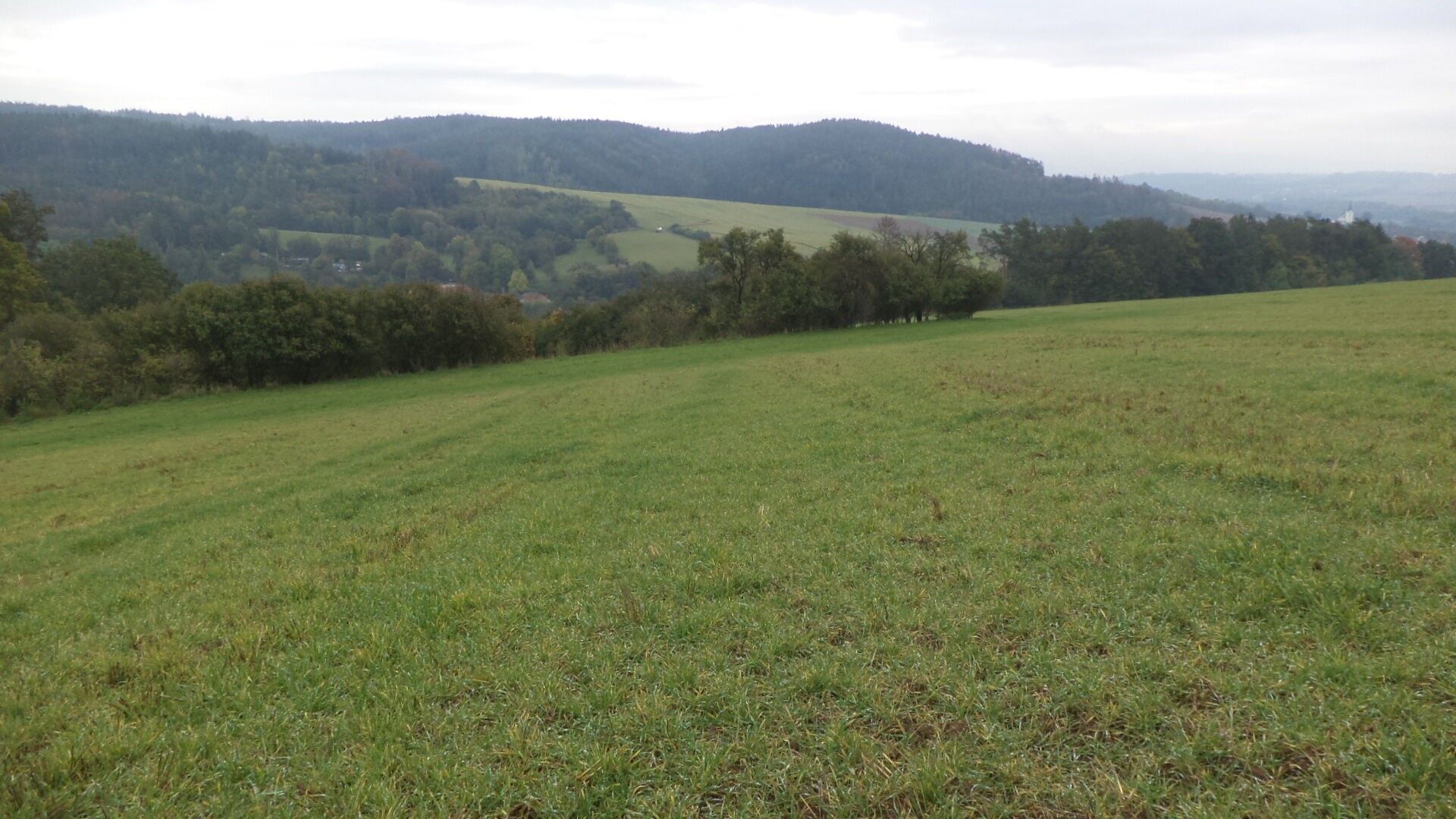Ostatní, Zbraslavec, 3 445 m²