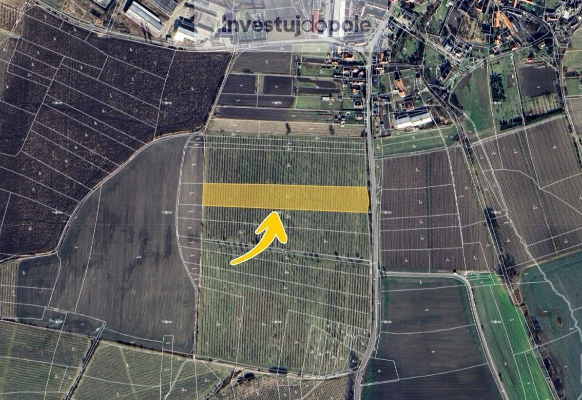 Prodej pozemek - Soběnice, Liběšice, 6 199 m²