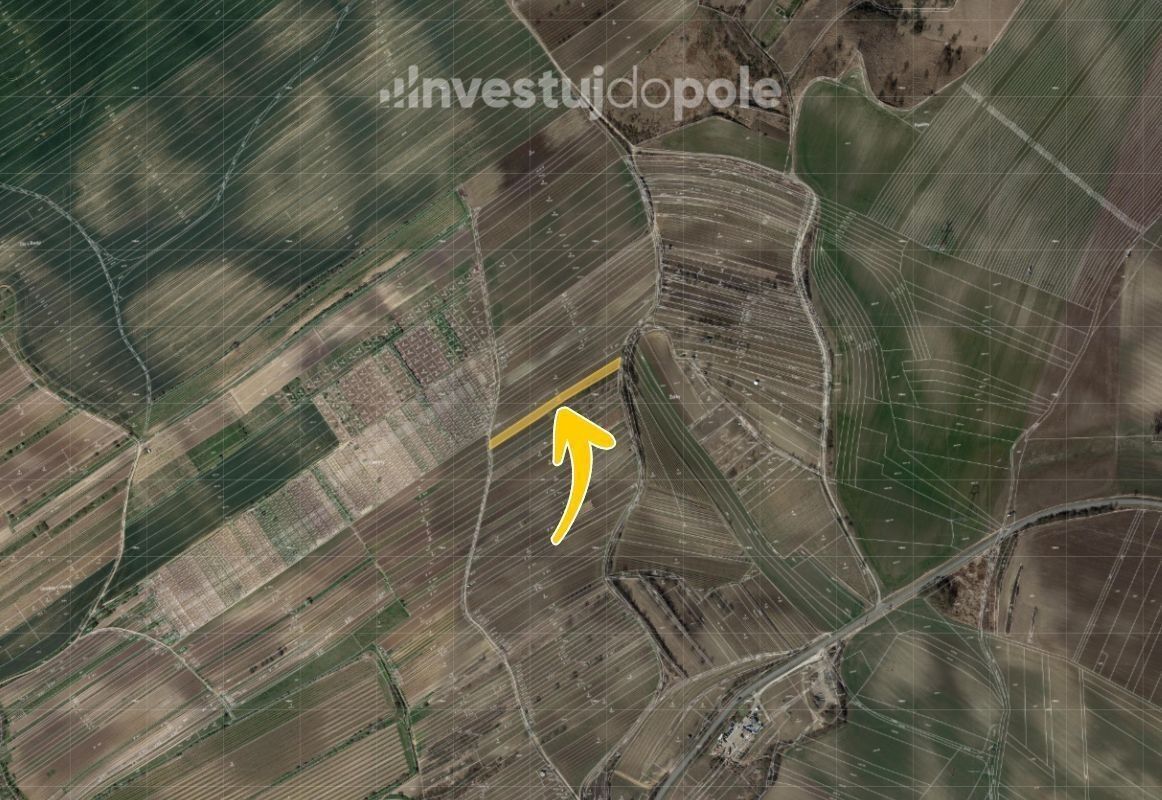 Prodej pozemek - Čejkovice, 1 956 m²
