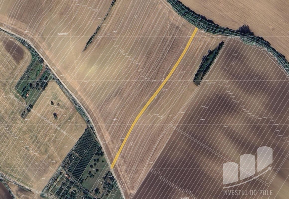 Prodej zemědělský pozemek - Svatobořice, Svatobořice-Mistřín, 1 244 m²