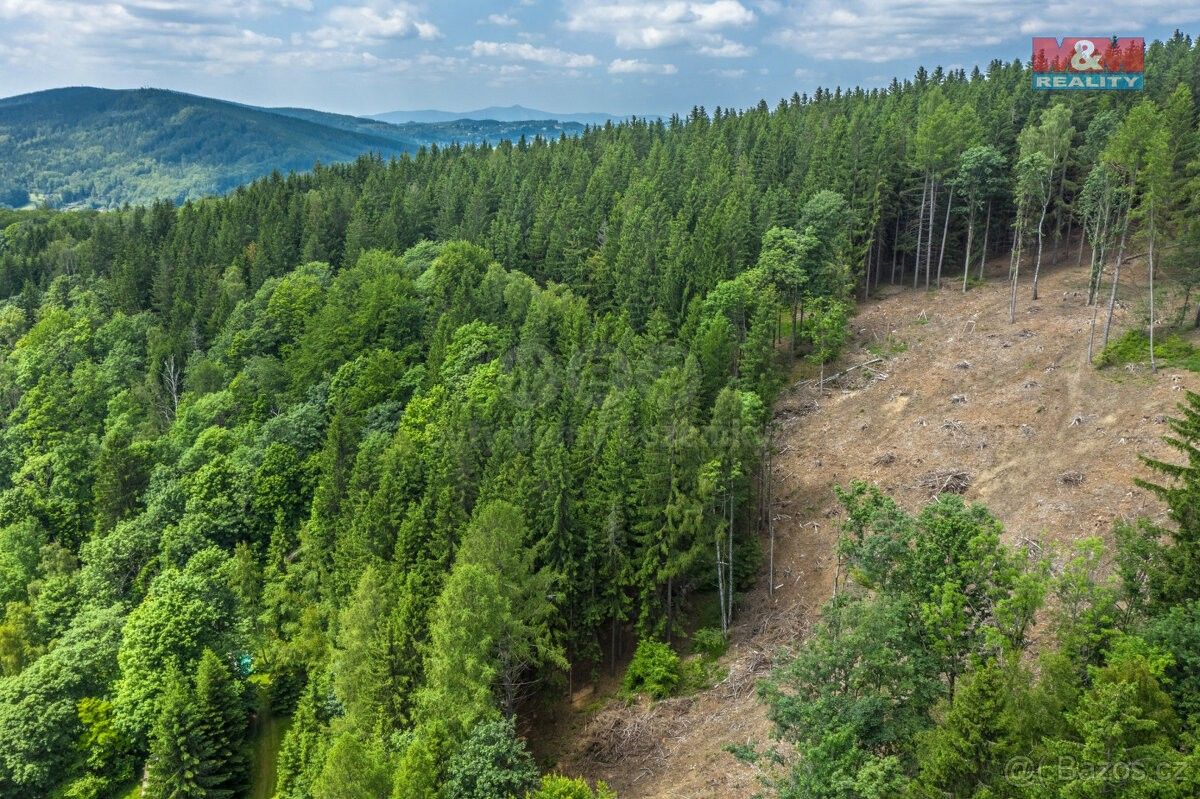 Lesy, Tanvald, 468 41, 6 696 m²