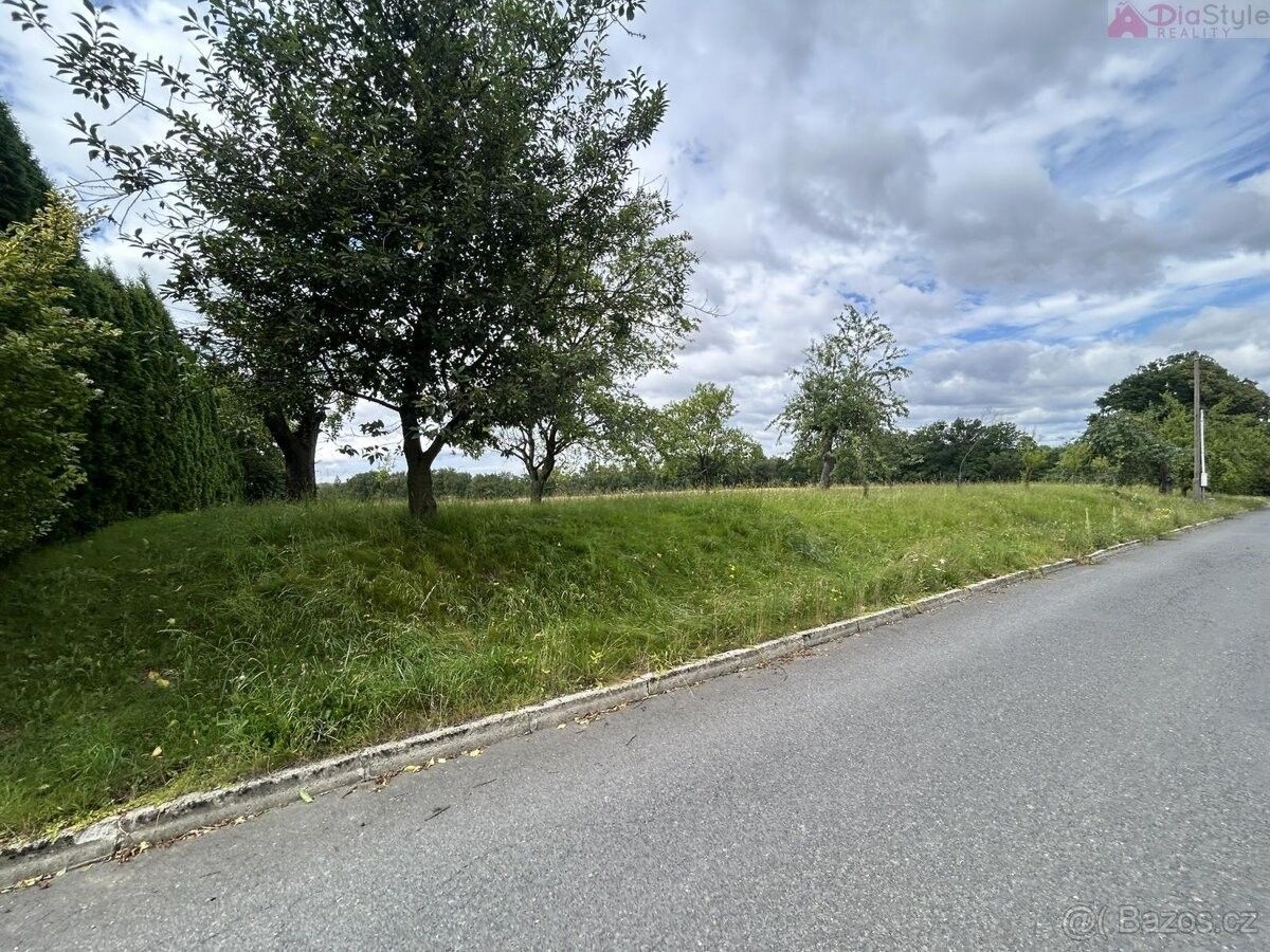 Prodej pozemek - Kelč, 756 43, 10 000 m²