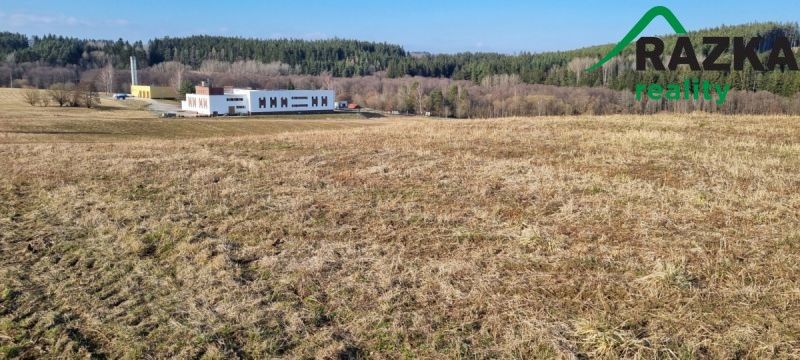 Prodej zemědělský pozemek - Tachov, 347 01, 141 968 m²