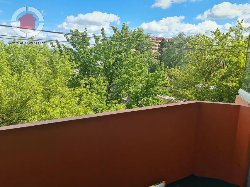 1+1, Veselí nad Moravou, 698 01, 33 m²
