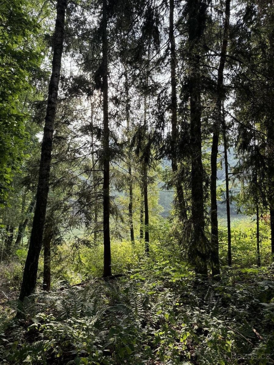 Lesy, Mšeno u Mělníka, 277 35, 4 804 m²