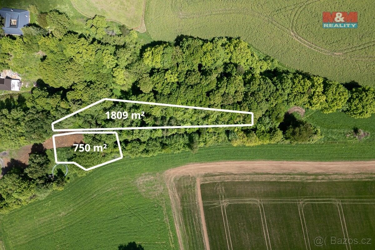 Pozemky pro bydlení, Třebařov, 569 33, 2 559 m²