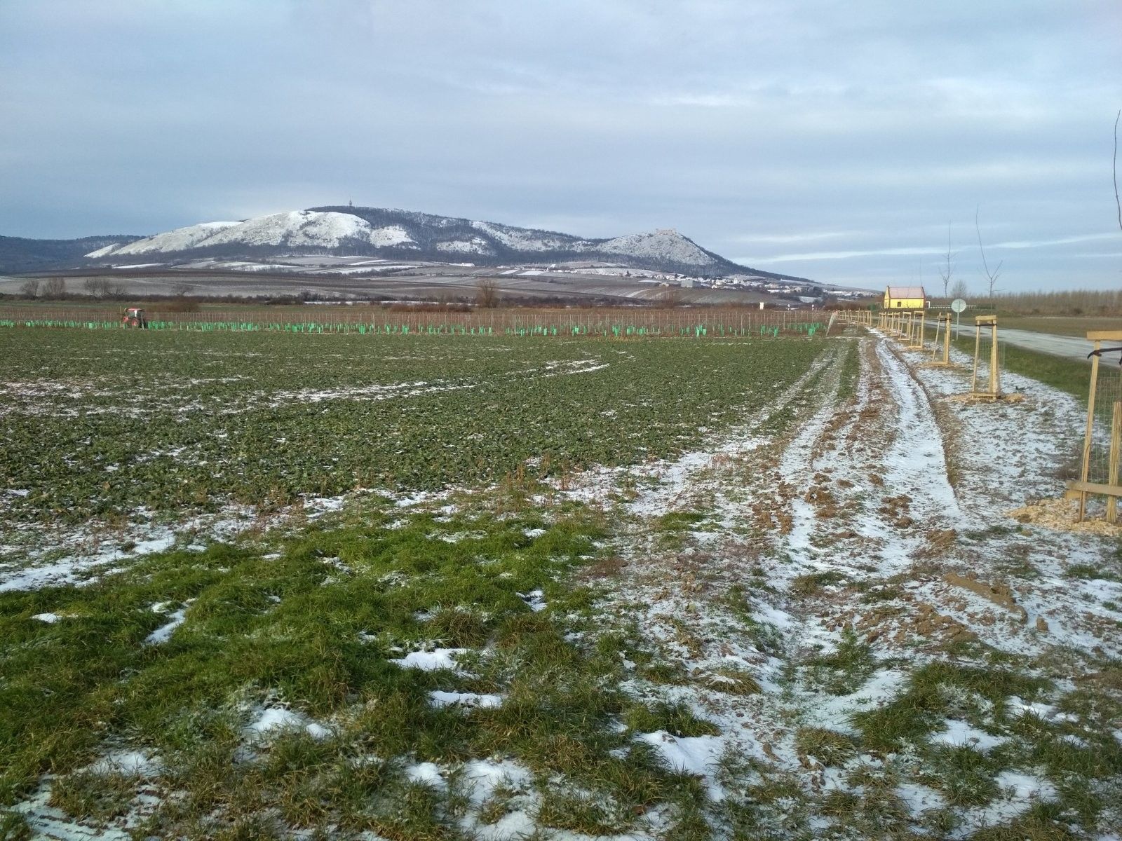 Ostatní, Milovice, 29 901 m²