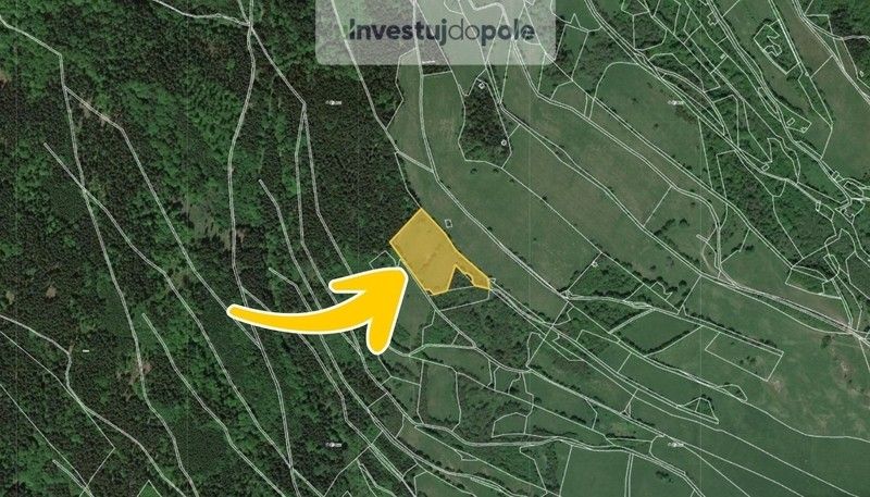 Prodej louka - Trutnov, 541 01, 19 250 m²