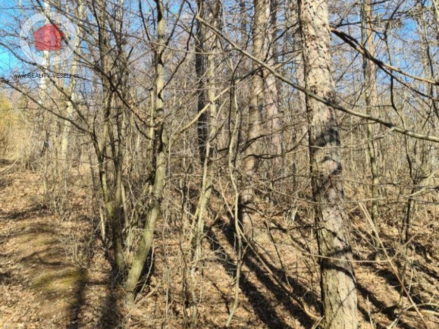 Prodej les - Velká nad Veličkou, 696 74, 654 m²