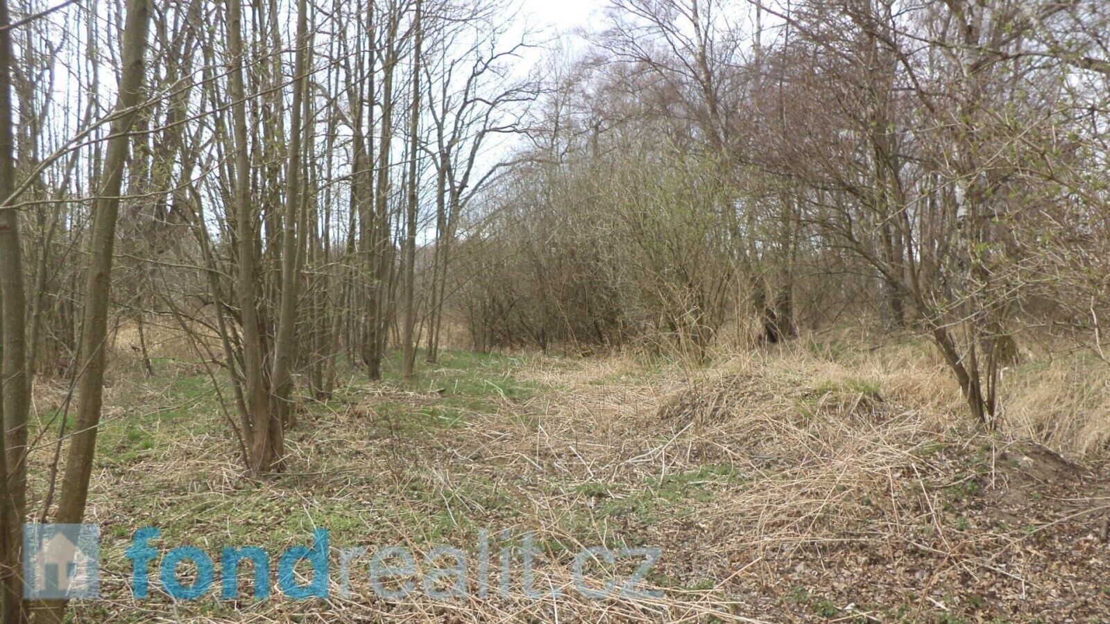 Prodej pozemek - Lutová, Chlum u Třeboně, 19 035 m²