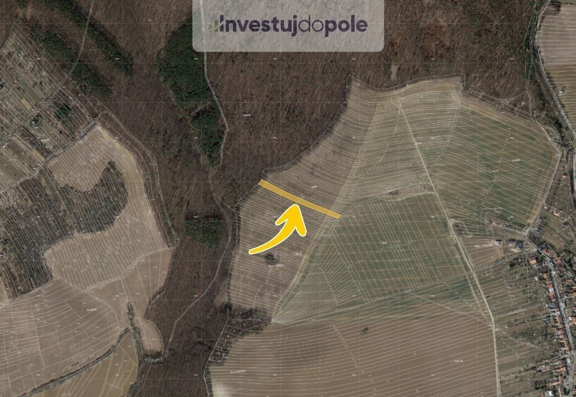 Prodej zemědělský pozemek - Čeložnice, 1 449 m²