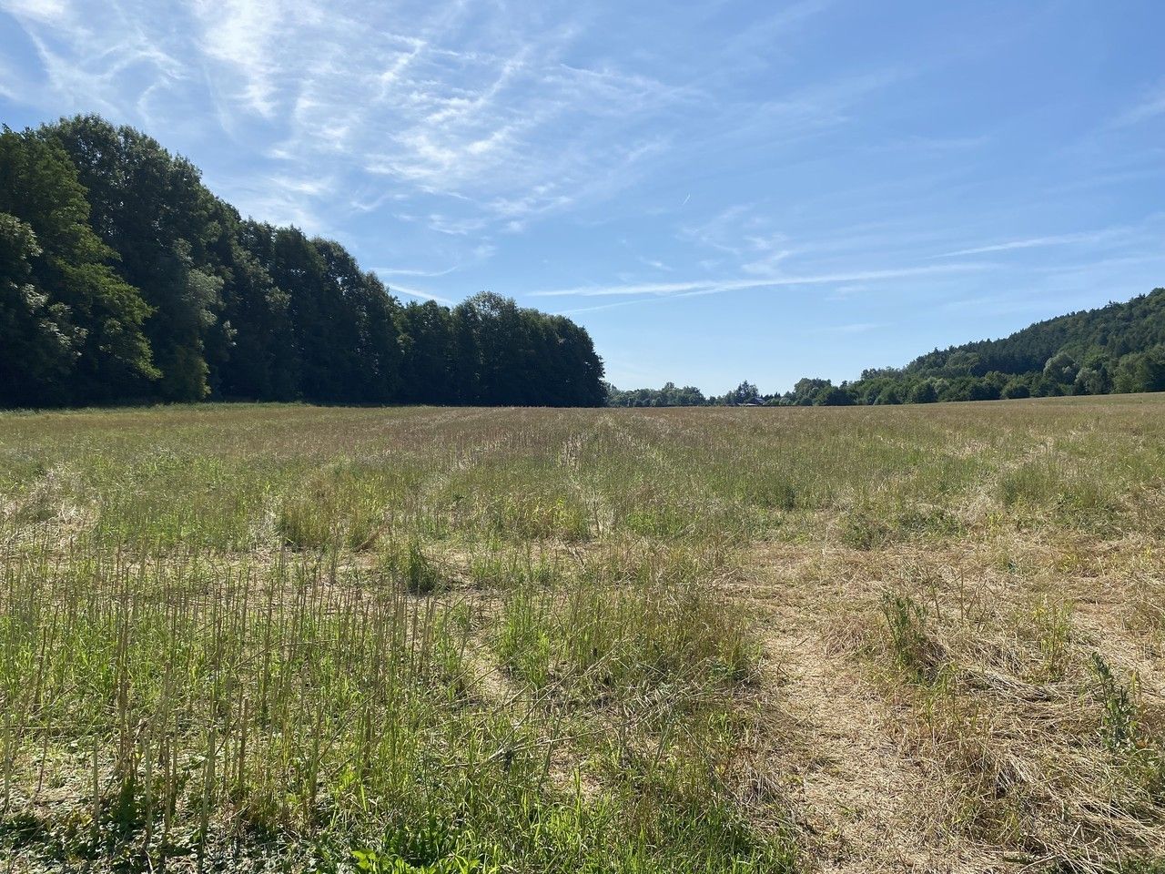 Prodej pozemek - Borek, Hrubá Skála, 8 207 m²