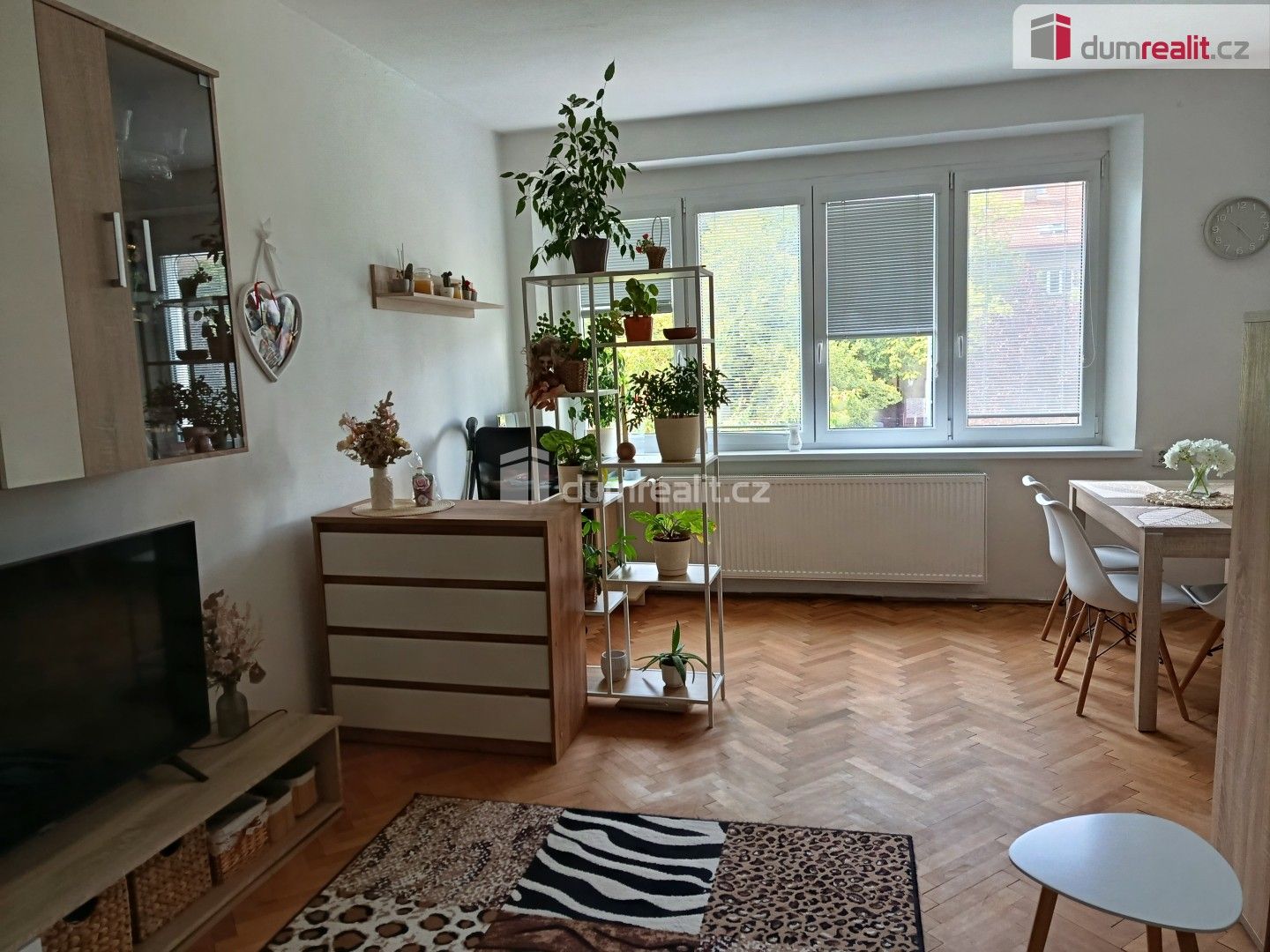 2+1, Dvorecká, Praha, 53 m²