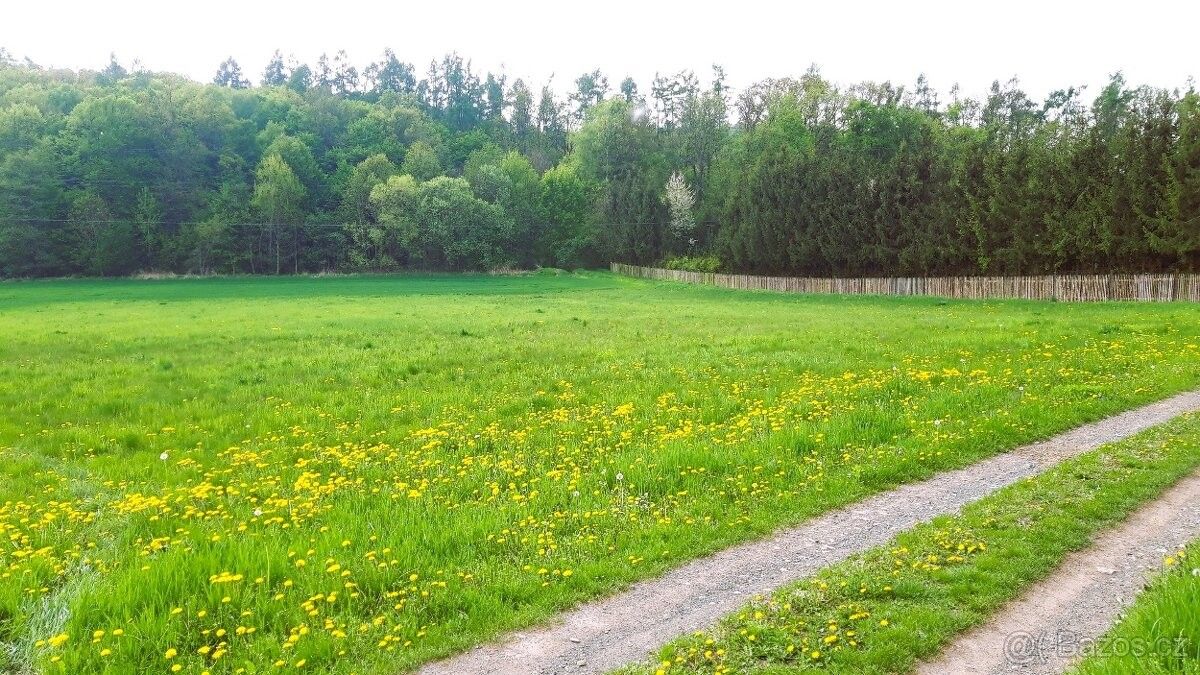Prodej pozemek pro bydlení - Úsov, 789 73, 1 853 m²