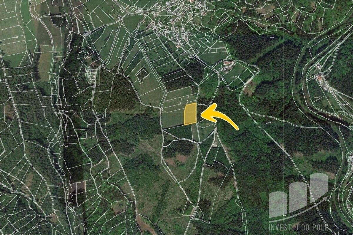 Prodej louka - Vlastiboř, 3 221 m²