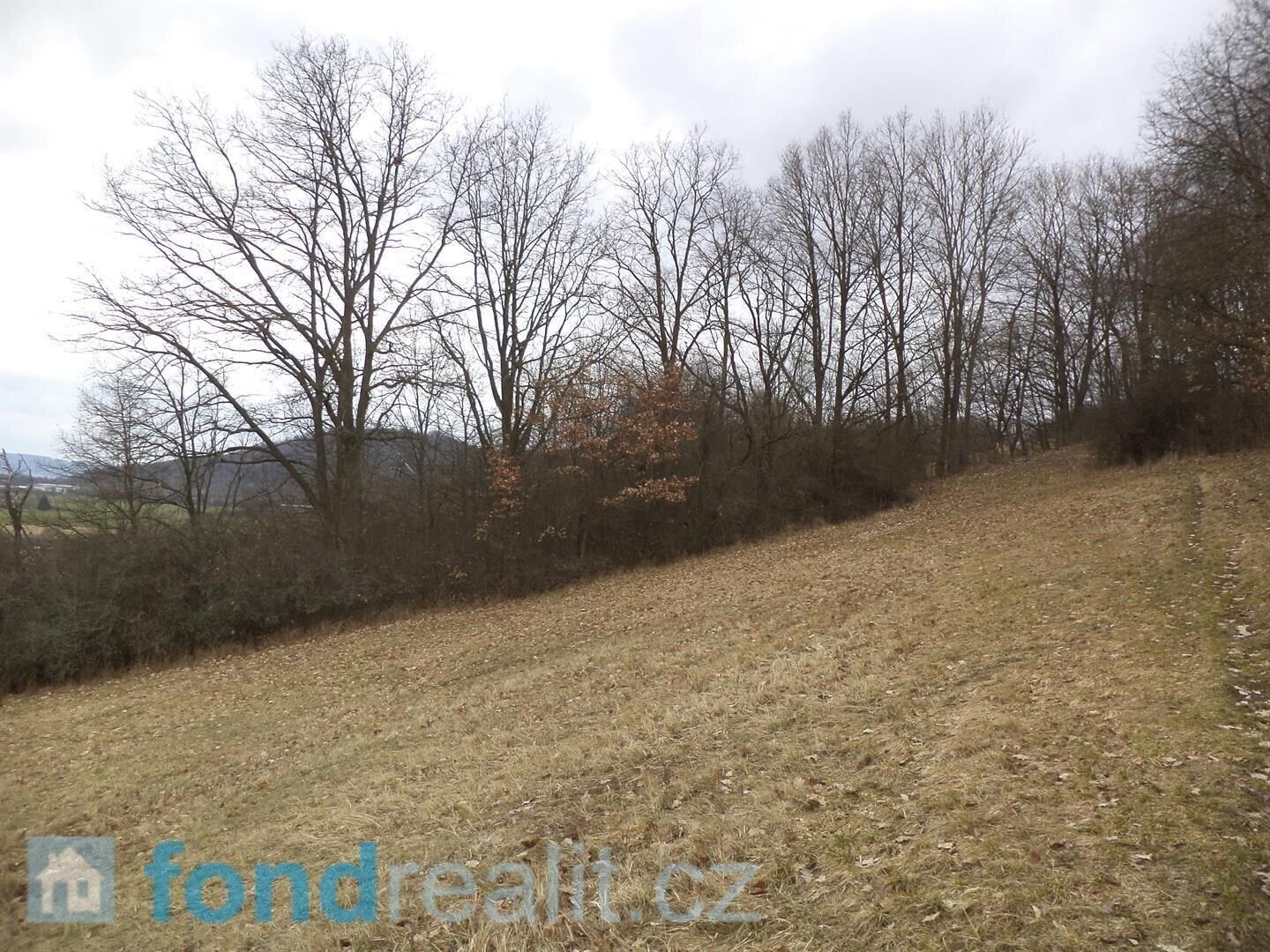 Prodej pozemek - Linhartice, 7 394 m²