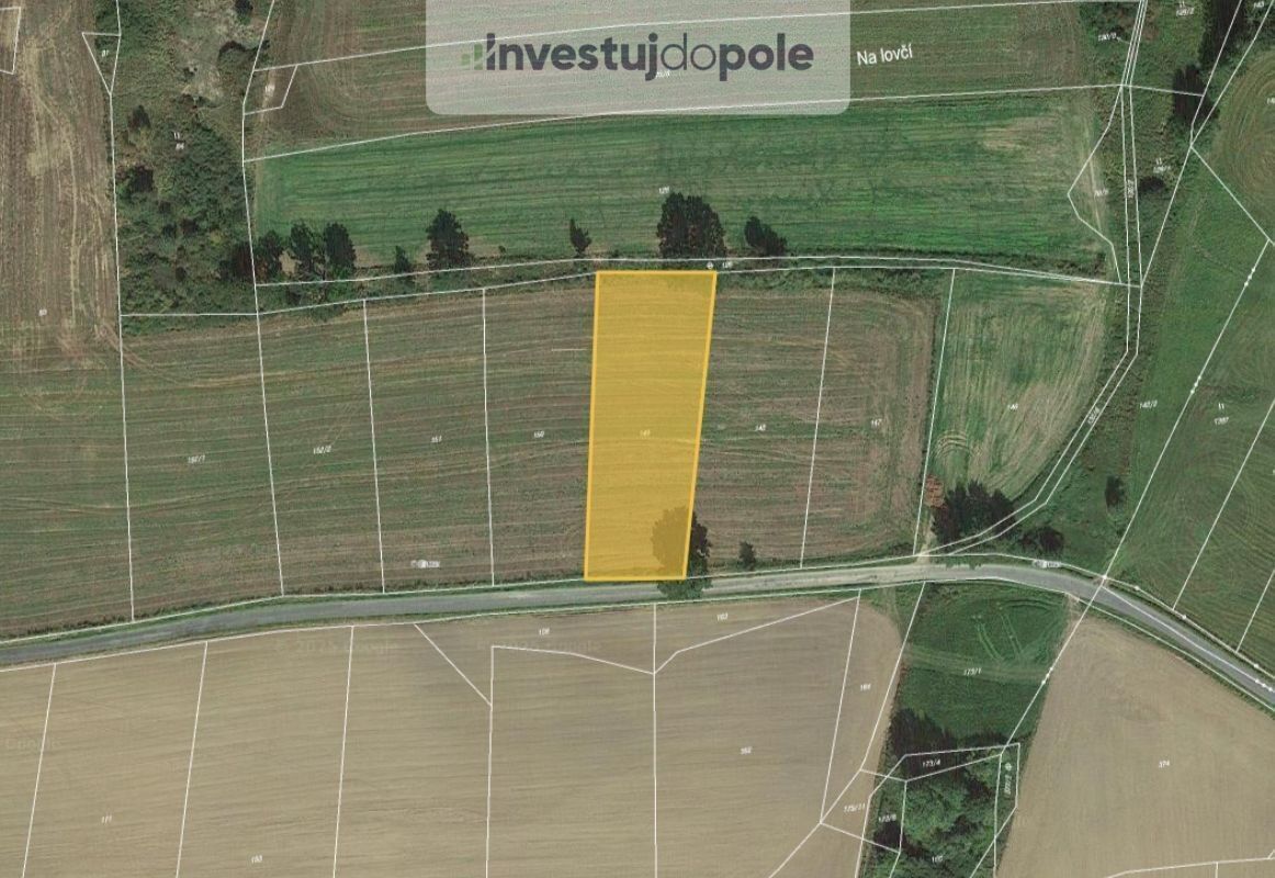 Zemědělské pozemky, Třebčice, 13 318 m²