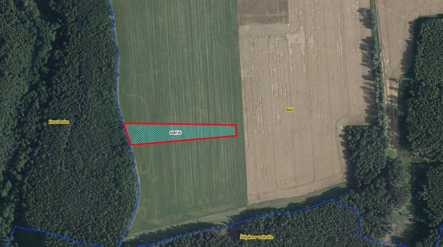 Zemědělské pozemky, Luže, 6 150 m²