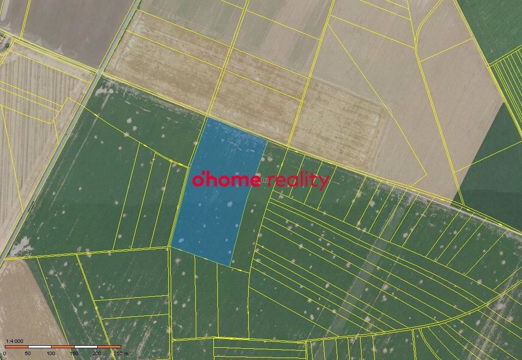 Zemědělské pozemky, Křelov-Břuchotín, 39 414 m²