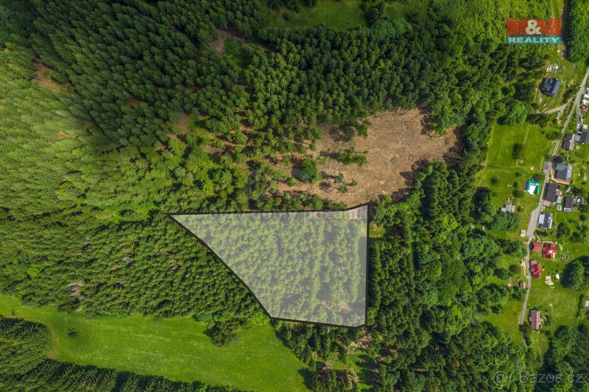 Prodej les - Tanvald, 468 41, 6 696 m²