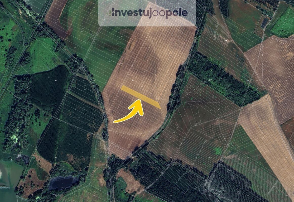 Prodej zemědělský pozemek - Dubňany, 2 555 m²