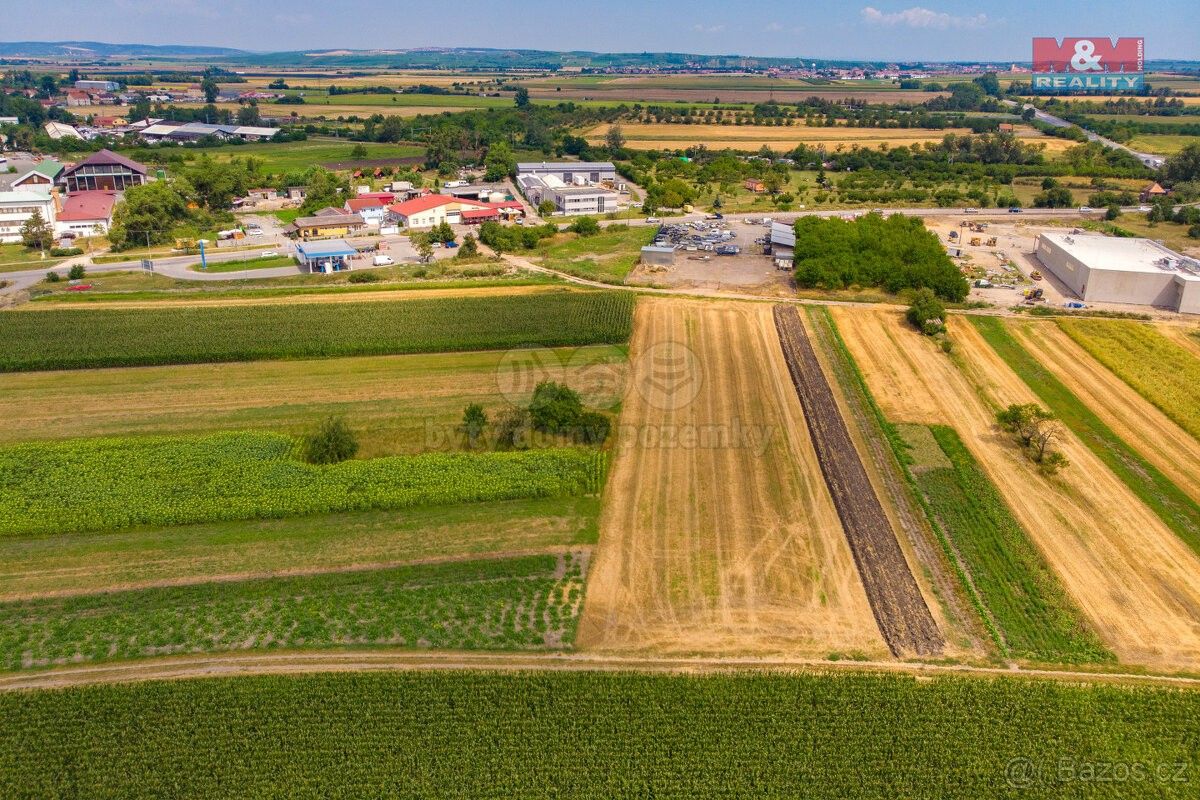 Prodej zemědělský pozemek - Podivín, 691 45, 2 005 m²